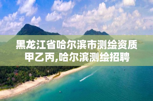 黑龙江省哈尔滨市测绘资质甲乙丙,哈尔滨测绘招聘