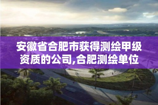 安徽省合肥市获得测绘甲级资质的公司,合肥测绘单位。