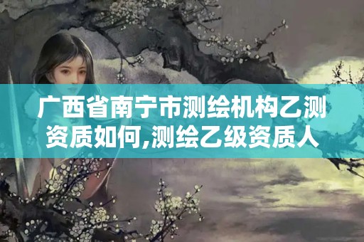 广西省南宁市测绘机构乙测资质如何,测绘乙级资质人员条件。