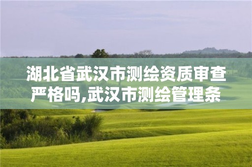 湖北省武汉市测绘资质审查严格吗,武汉市测绘管理条例