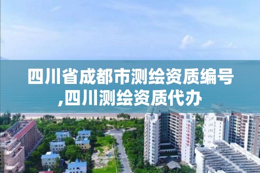 四川省成都市测绘资质编号,四川测绘资质代办