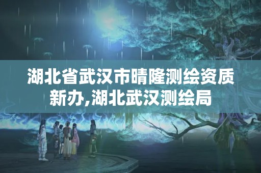 湖北省武汉市晴隆测绘资质新办,湖北武汉测绘局