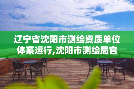 辽宁省沈阳市测绘资质单位体系运行,沈阳市测绘局官网