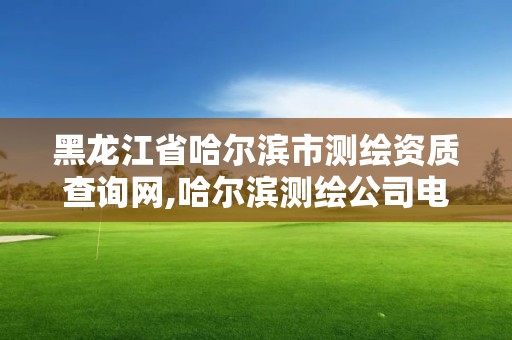 黑龙江省哈尔滨市测绘资质查询网,哈尔滨测绘公司电话