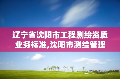 辽宁省沈阳市工程测绘资质业务标准,沈阳市测绘管理办公室