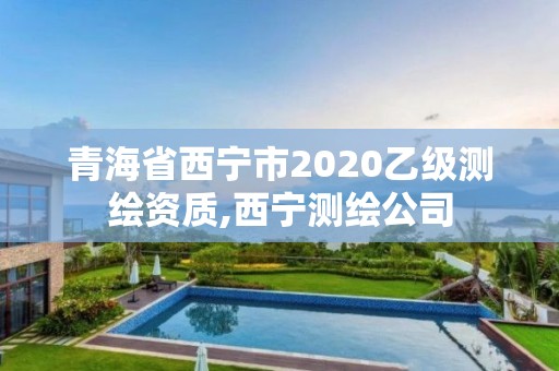 青海省西宁市2020乙级测绘资质,西宁测绘公司