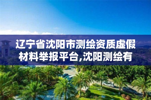 辽宁省沈阳市测绘资质虚假材料举报平台,沈阳测绘有限公司