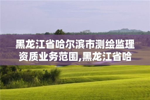 黑龙江省哈尔滨市测绘监理资质业务范围,黑龙江省哈尔滨市测绘局。