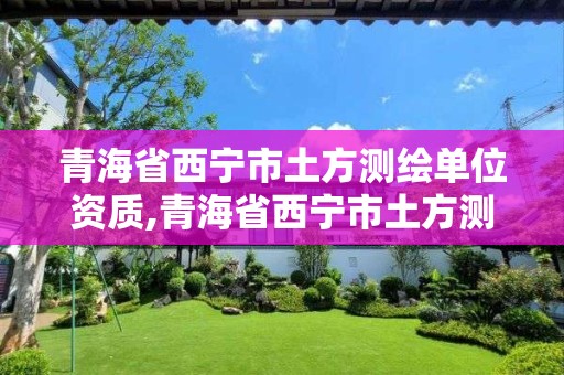 青海省西宁市土方测绘单位资质,青海省西宁市土方测绘单位资质查询