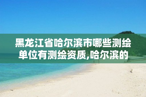 黑龙江省哈尔滨市哪些测绘单位有测绘资质,哈尔滨的测绘公司有哪些