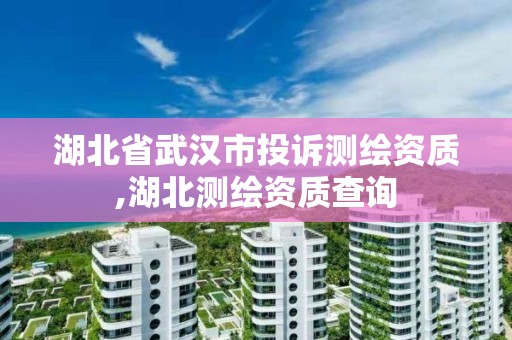 湖北省武汉市投诉测绘资质,湖北测绘资质查询