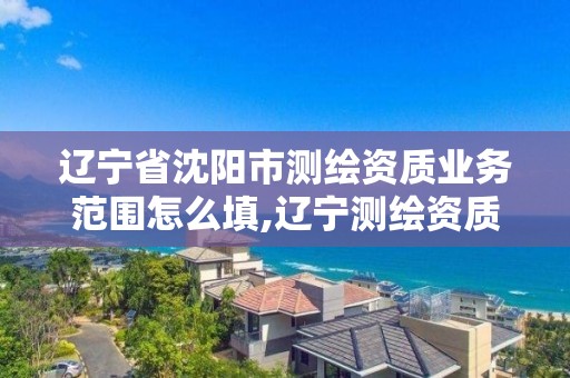 辽宁省沈阳市测绘资质业务范围怎么填,辽宁测绘资质查询。