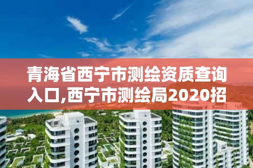 青海省西宁市测绘资质查询入口,西宁市测绘局2020招聘