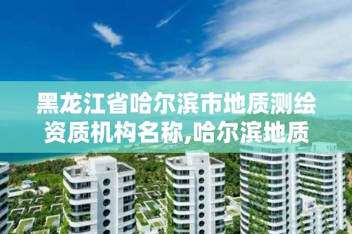 黑龙江省哈尔滨市地质测绘资质机构名称,哈尔滨地质检测中心