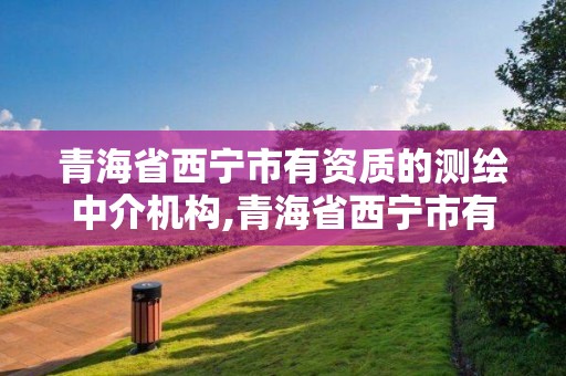 青海省西宁市有资质的测绘中介机构,青海省西宁市有资质的测绘中介机构有几家。