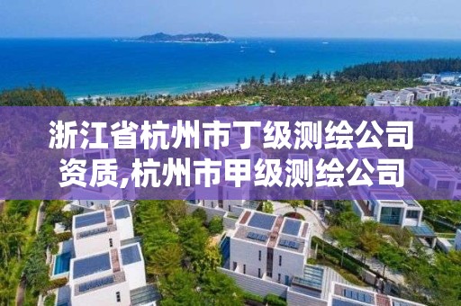 浙江省杭州市丁级测绘公司资质,杭州市甲级测绘公司