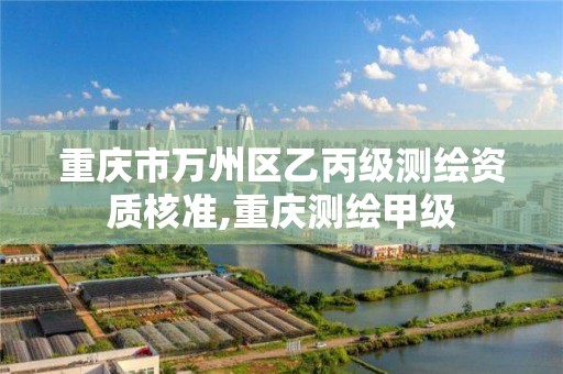 重庆市万州区乙丙级测绘资质核准,重庆测绘甲级