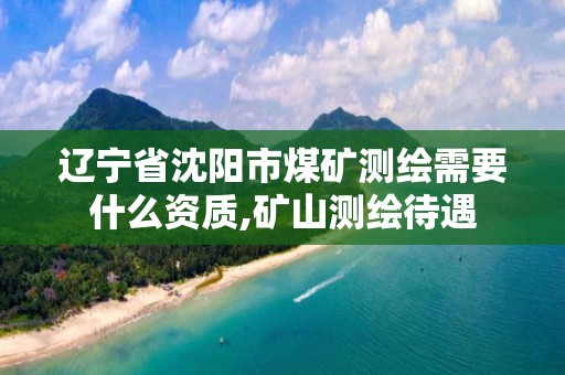 辽宁省沈阳市煤矿测绘需要什么资质,矿山测绘待遇