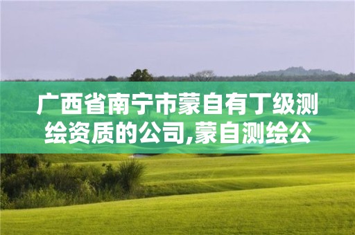 广西省南宁市蒙自有丁级测绘资质的公司,蒙自测绘公司招聘。