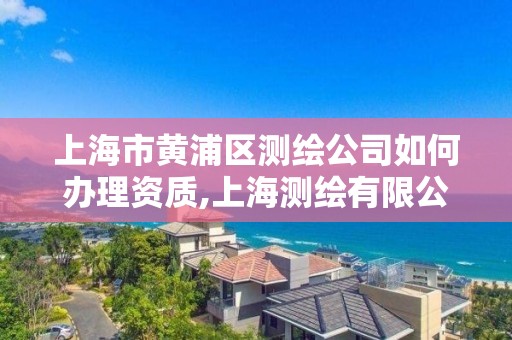 上海市黄浦区测绘公司如何办理资质,上海测绘有限公司