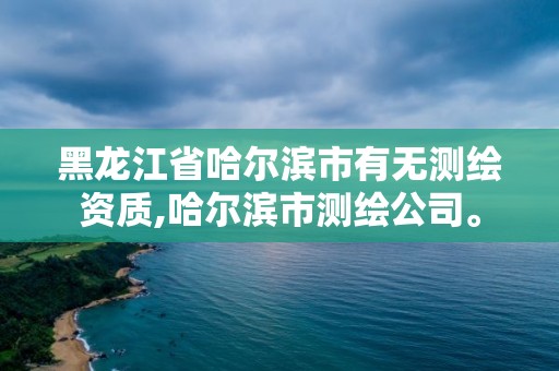 黑龙江省哈尔滨市有无测绘资质,哈尔滨市测绘公司。