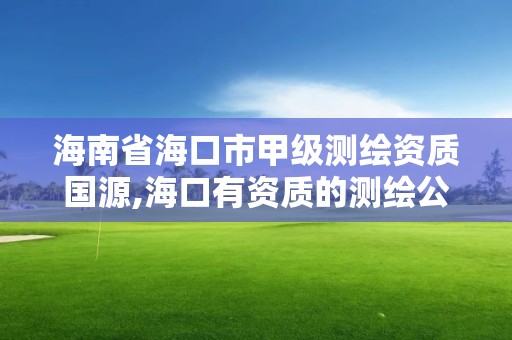 海南省海口市甲级测绘资质国源,海口有资质的测绘公司