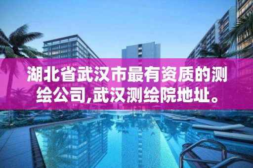 湖北省武汉市最有资质的测绘公司,武汉测绘院地址。