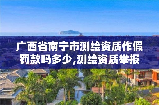 广西省南宁市测绘资质作假罚款吗多少,测绘资质举报。