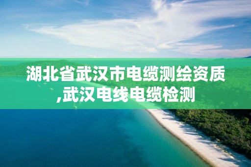 湖北省武汉市电缆测绘资质,武汉电线电缆检测