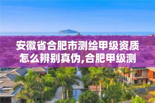 安徽省合肥市测绘甲级资质怎么辨别真伪,合肥甲级测绘公司