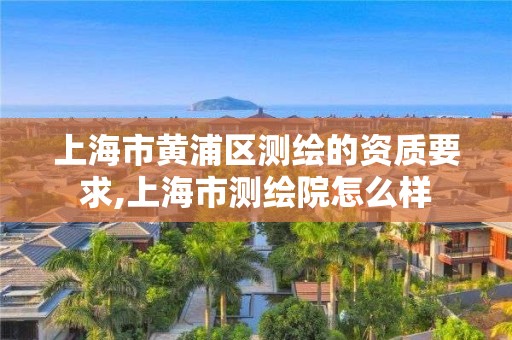 上海市黄浦区测绘的资质要求,上海市测绘院怎么样