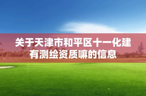 关于天津市和平区十一化建有测绘资质嘛的信息