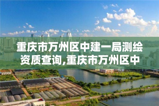 重庆市万州区中建一局测绘资质查询,重庆市万州区中建一局测绘资质查询。