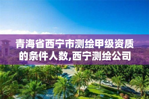 青海省西宁市测绘甲级资质的条件人数,西宁测绘公司有哪些