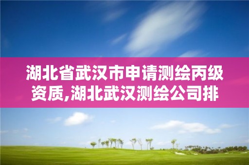 湖北省武汉市申请测绘丙级资质,湖北武汉测绘公司排行榜