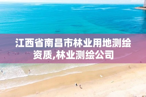 江西省南昌市林业用地测绘资质,林业测绘公司