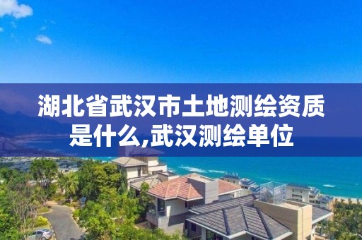 湖北省武汉市土地测绘资质是什么,武汉测绘单位