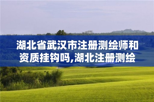 湖北省武汉市注册测绘师和资质挂钩吗,湖北注册测绘师报名。