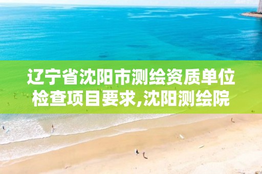 辽宁省沈阳市测绘资质单位检查项目要求,沈阳测绘院电话