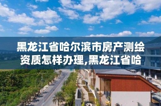 黑龙江省哈尔滨市房产测绘资质怎样办理,黑龙江省哈尔滨市测绘局