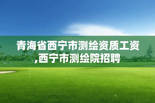 青海省西宁市测绘资质工资,西宁市测绘院招聘