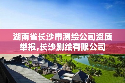 湖南省长沙市测绘公司资质举报,长沙测绘有限公司