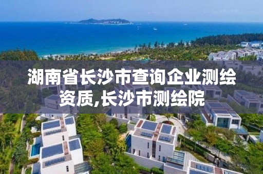 湖南省长沙市查询企业测绘资质,长沙市测绘院