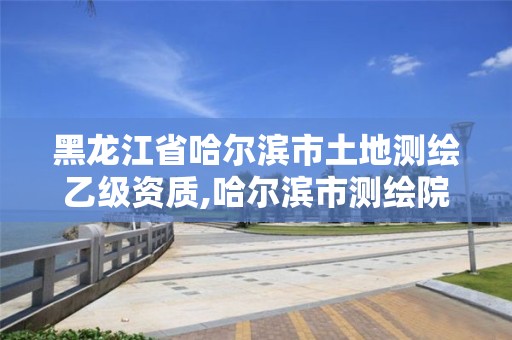 黑龙江省哈尔滨市土地测绘乙级资质,哈尔滨市测绘院