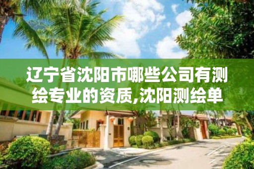 辽宁省沈阳市哪些公司有测绘专业的资质,沈阳测绘单位招聘。