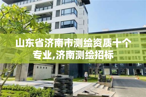 山东省济南市测绘资质十个专业,济南测绘招标