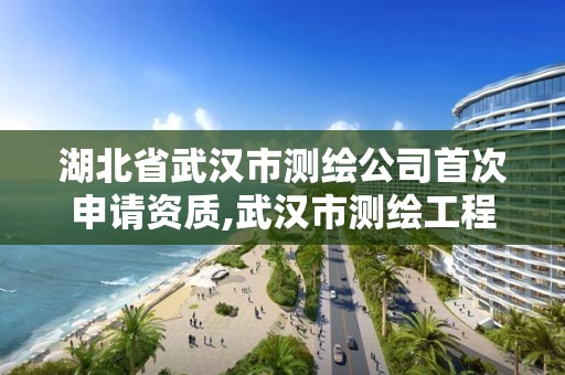 湖北省武汉市测绘公司首次申请资质,武汉市测绘工程技术规定