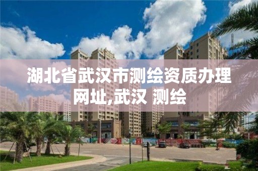 湖北省武汉市测绘资质办理网址,武汉 测绘