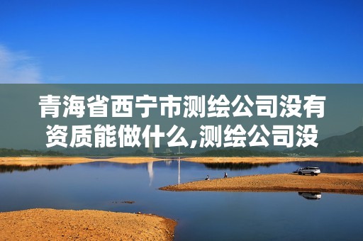 青海省西宁市测绘公司没有资质能做什么,测绘公司没有资质能开票。