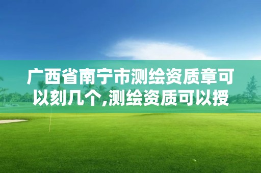 广西省南宁市测绘资质章可以刻几个,测绘资质可以授权吗。